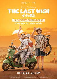 The Last Wish poster art