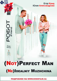 (Not)Perfect man/(Ne)Idealniy muzhchina poster art
