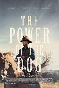 The Power Of The Dog poster art