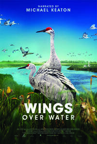 Wings Over Water poster art