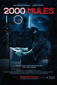 2000 Mules poster art