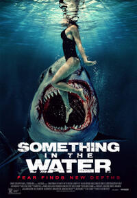 Something in the Water poster art