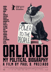Orlando, My Political Biography poster art
