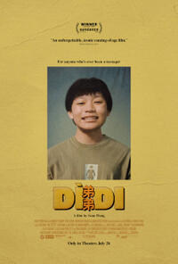 Didi poster art