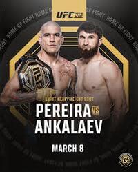 UFC 313: Pereira vs. Ankalaev