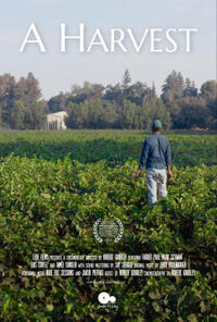A Harvest (2024)