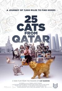 25 Cats from Qatar (2025)
