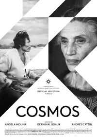 Poster art for "Cosmos"