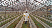 A scene from "Our Daily Bread."