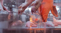 A scene from "Our Daily Bread."