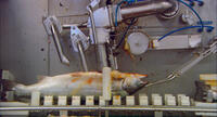A scene from "Our Daily Bread."