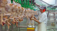 A scene from "Our Daily Bread."