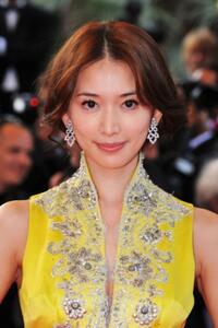 Chi-ling Lin at the premiere of "Che" during the 61st International Cannes Film Festival.