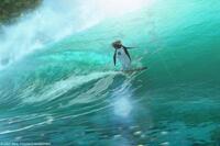 A scene from "Surf's Up."