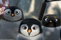 A scene from "Surf's Up."