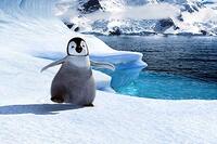 Baby Mumble (voice of Elizabeth Daily) in "Happy Feet." 