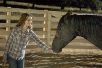 A scene from "Flicka."