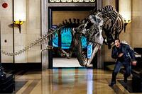Dino closes in on Ben Stiller in "Night at the Museum."