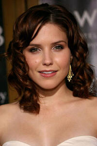 Actress Sophia Bush at the California premiere of "1408."