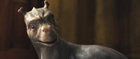 Crusoe in "The Water Horse: Legend of the Deep."