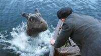 Crusoe in "The Water Horse: Legend of the Deep."