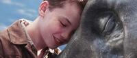 Alex Etel in "The Water Horse: Legend of the Deep."