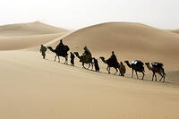 The wise men journey to see Christ in "The Nativity Story."