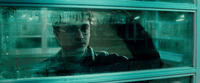 Daniel Radcliffe as Harry Potter in Harry Potter and The Half-Blood Prince." 