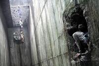 A scene from "The Host."