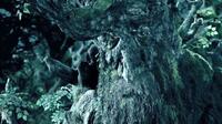 
	Treebeard in The Lord of the Rings: The Two Towers&rsquo;
