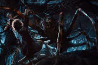 
	Shelob (Giant Spiders)
