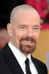 
	2013 SAG Awards Red Carpet
