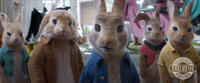 
	PETER RABBIT 2: THE RUNAWAY (June 11)
