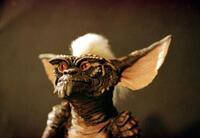 
	Gremlins
