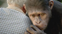
	Caesar in Rise of the Planet of the Apes
