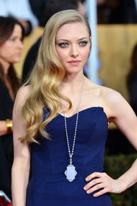 
	2013 SAG Awards Red Carpet
