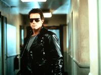 
	The Terminator Arnold Schwarzenegger
