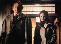 The Ultimate Cult Films