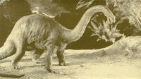 
	The Lost World
