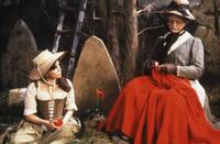 The Ultimate Cult Films