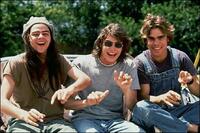The Ultimate Cult Films