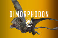 
	Dimorphodon
