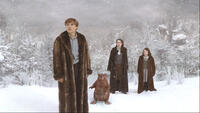 
	The Chronicles of Narnia: The Lion, the Witch and The Wardrobe
