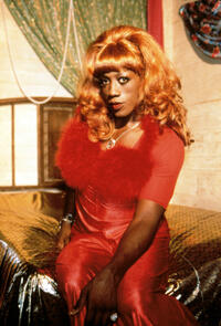 
	Wesley Snipes in &lsquo;To Wong Foo, Thanks for Everything, Julie Newmar&rsquo;

