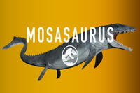 
	Mosasaurus

