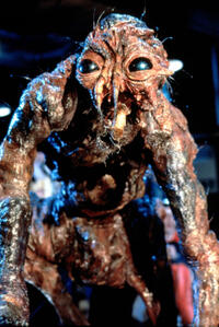 
	The Fly
