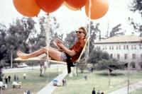 The Ultimate Cult Films