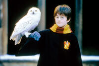 
	Harry Potter and the Sorcerer's Stone
