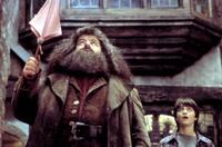 
	Harry Potter and the Sorcerer's Stone (2001)

