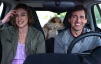 
	Seeking a Friend for the End of the World steve carell
